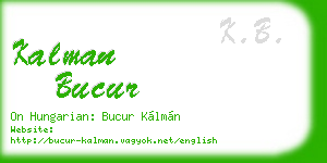 kalman bucur business card