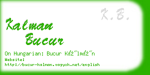 kalman bucur business card